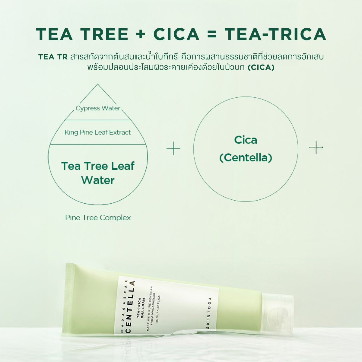 SKIN1004 – Tea-Trica BHA Foam (Anti-Acne Deep Cleansing Foam)